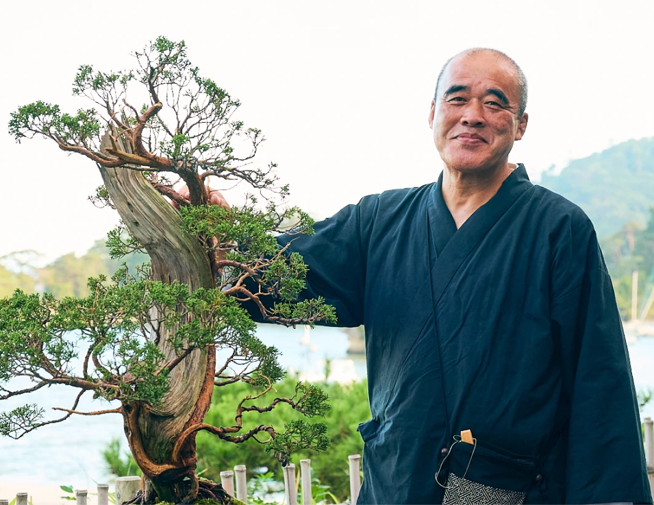 Bonsai Master Guide
