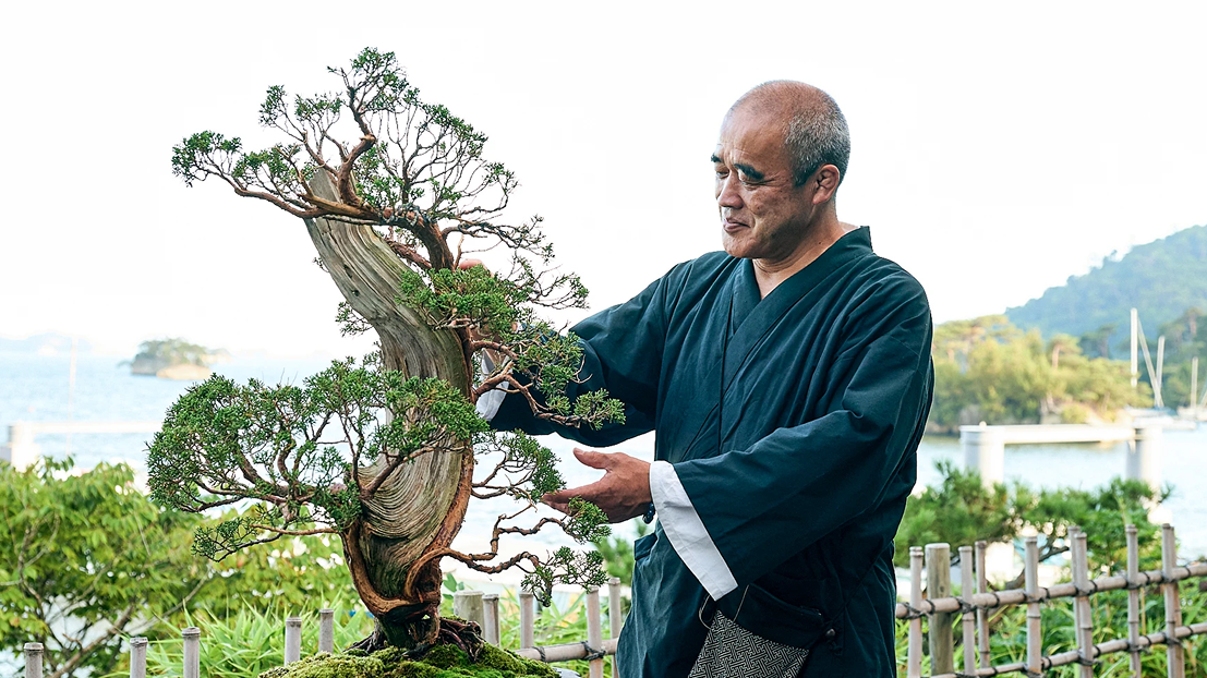 Bonsai Master Guide