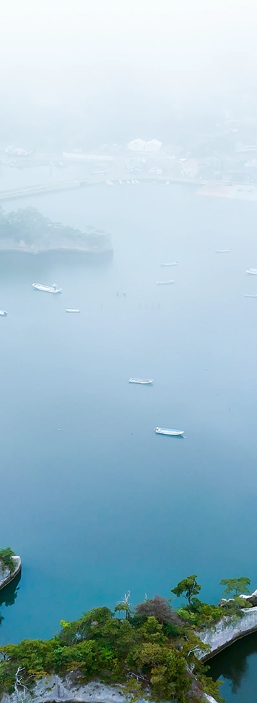 Journey into Wabi-Sabi