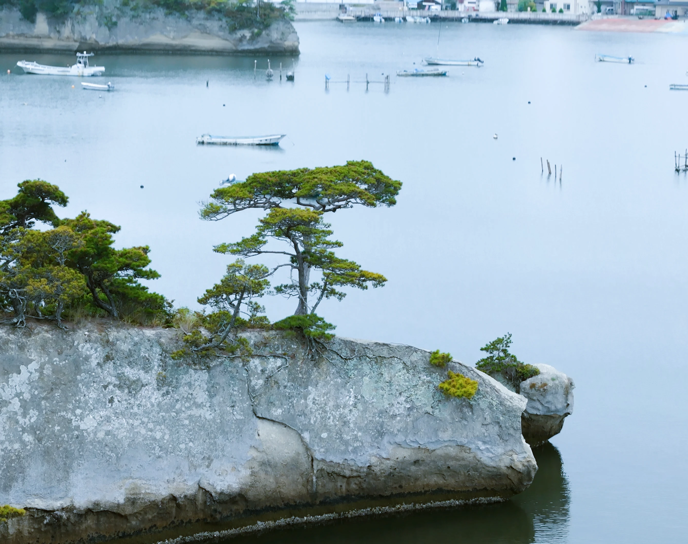 Matsushima 2