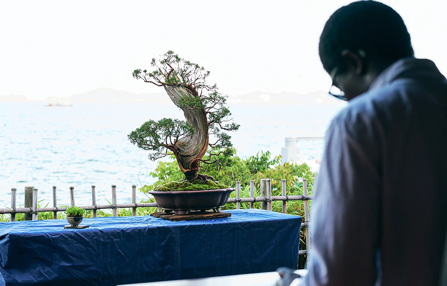 Kanrantei bonsai experience